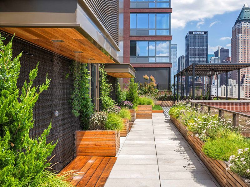 Sky-High Roof Gardens