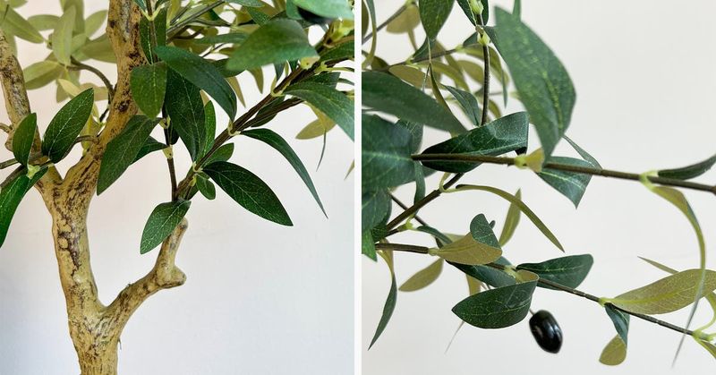 Fake Plants Collecting Real Dust
