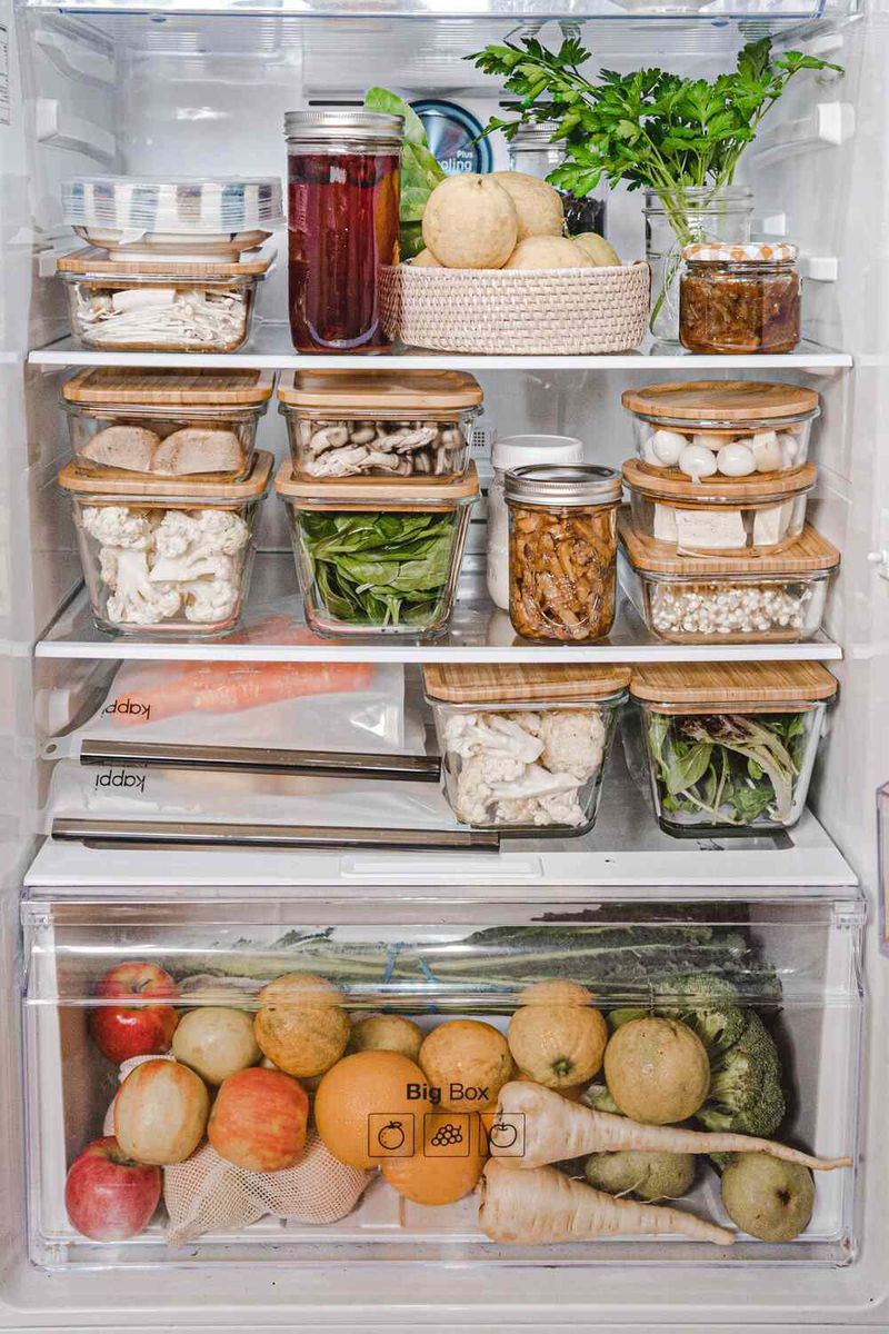 Fridge Science Experiments
