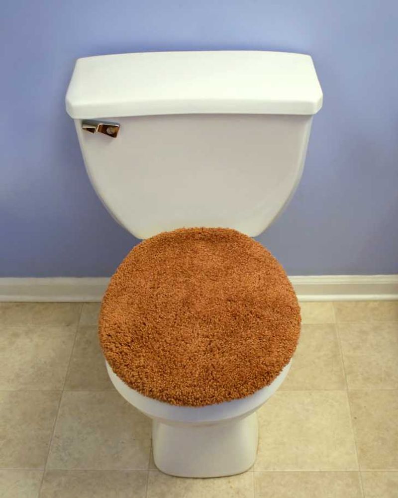 Fuzzy Toilet Seat Covers Need Flushing