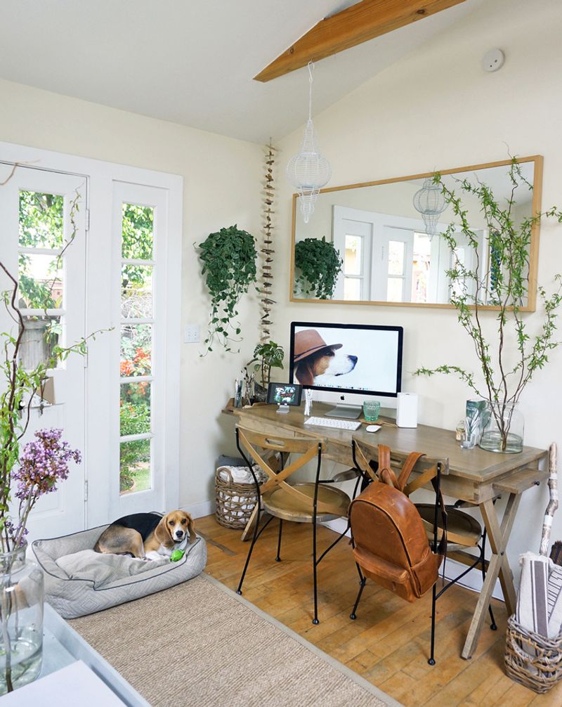 Indoor Plants