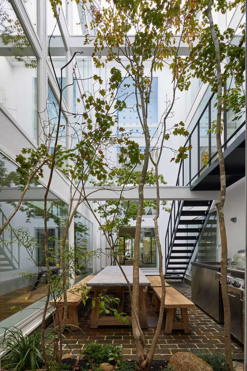 Light Wells Bring Nature Indoors