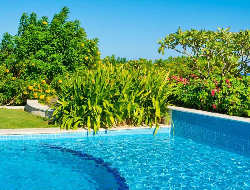Landscaping Challenges