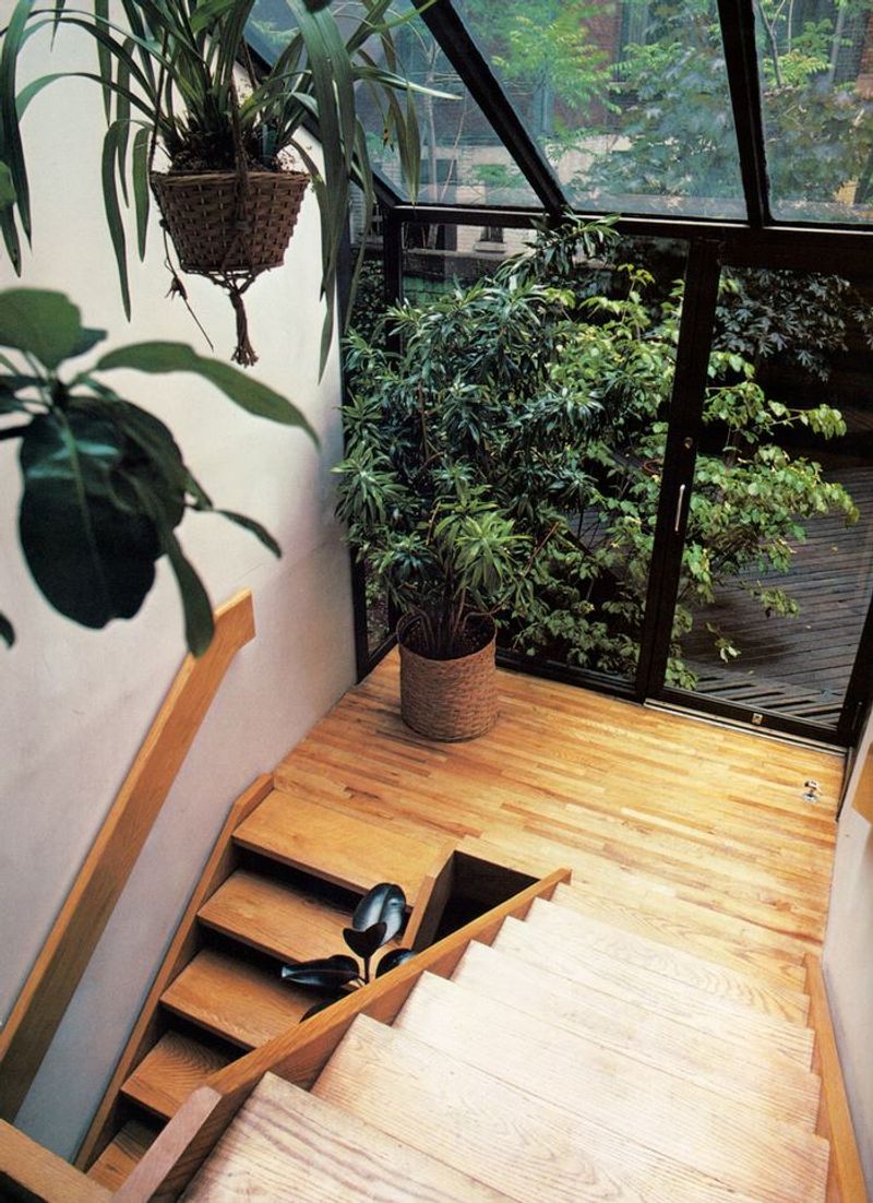 Houseplants Galore