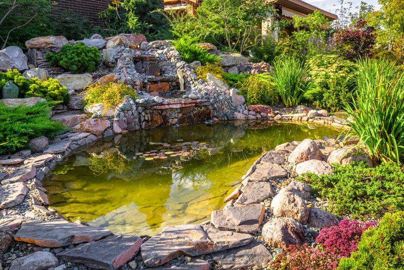 Elaborate Backyard Water Features