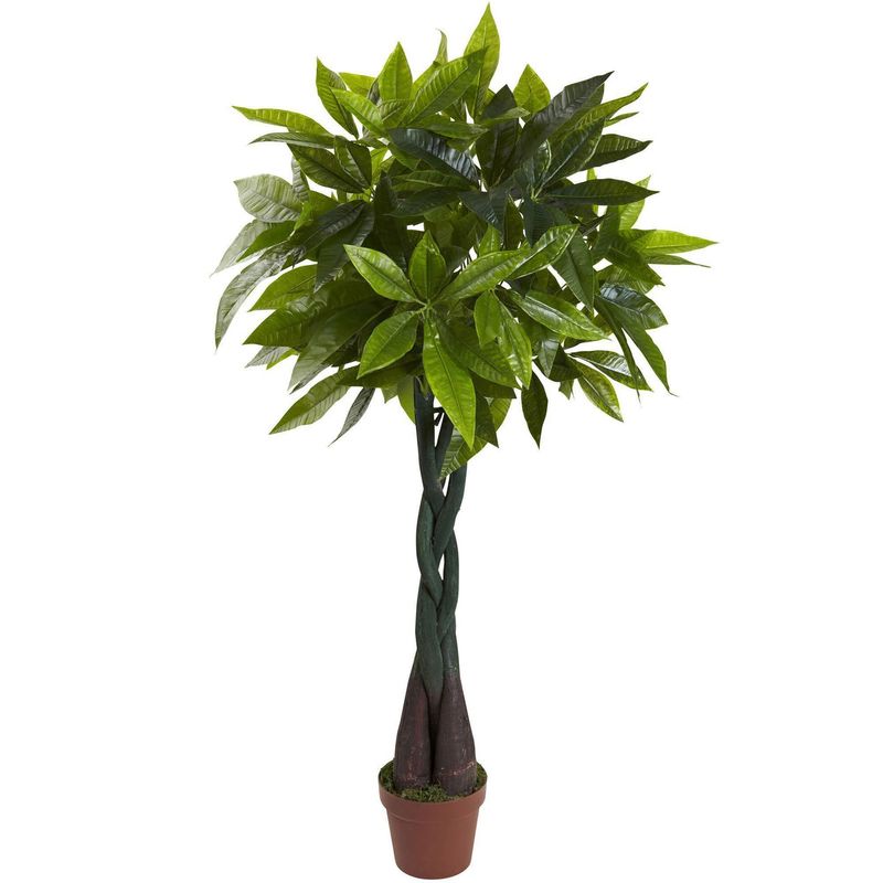 Faux Plants Only