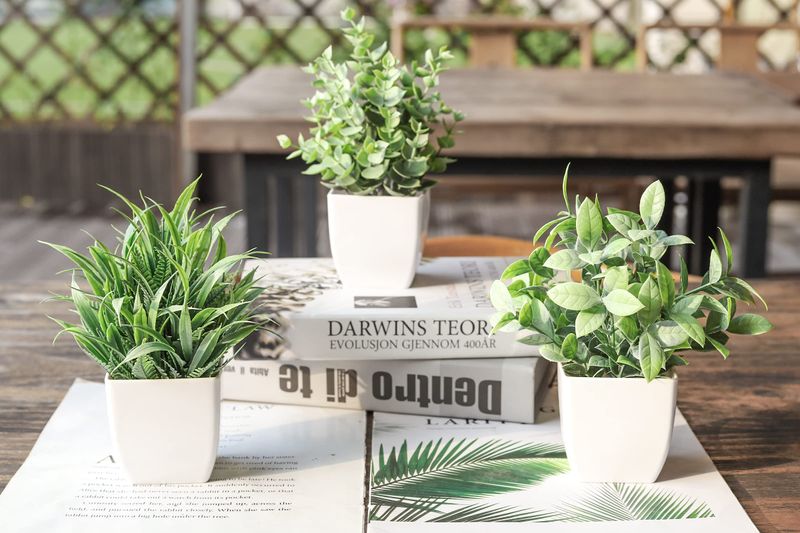 Fake Plants That Look Fake