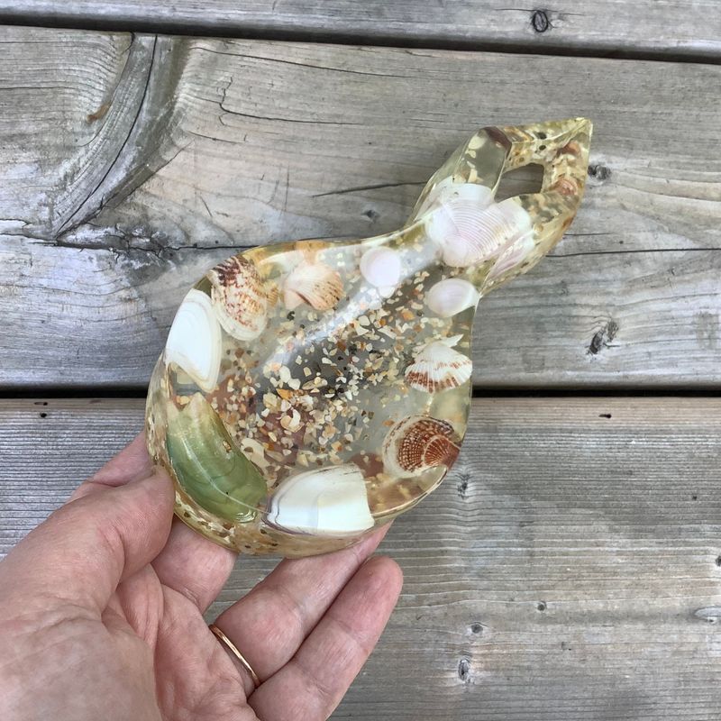 Seashells In EVERYTHING
