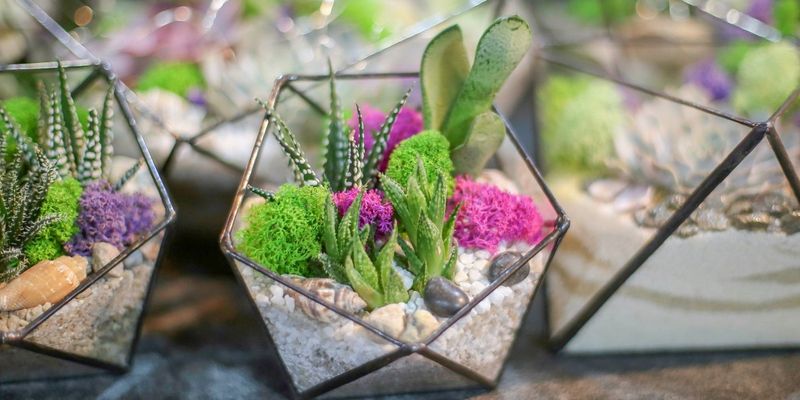 Overdone Succulents