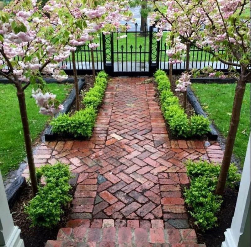 Meandering Pathways