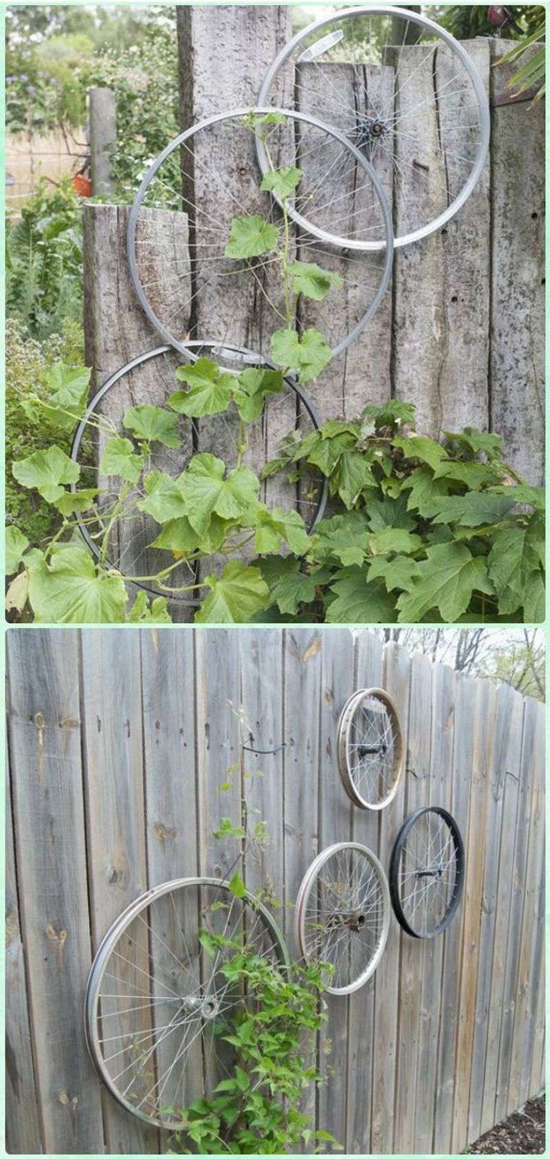 Bicycle Wheel Trellis