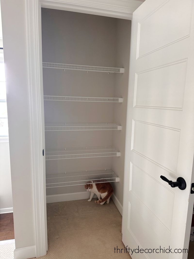 Wire Shelving Nightmares