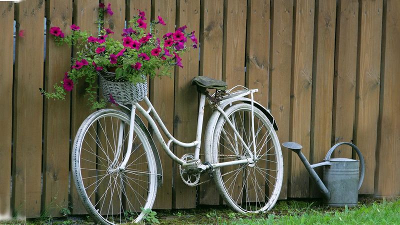 Bicycle Wheel Border Path