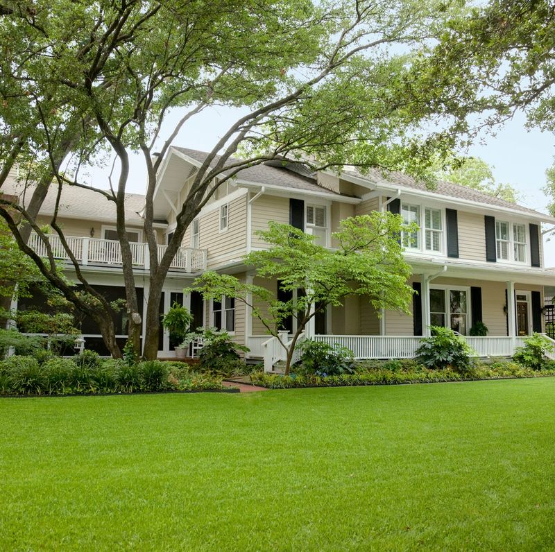 Mature Landscaping