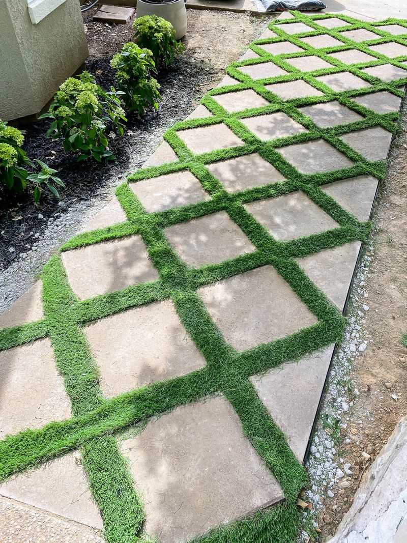 Living Grass Walkway