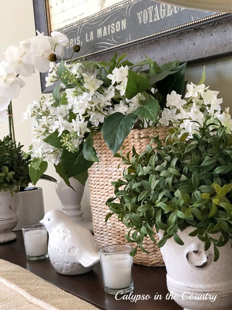 Artificial Plants Gathering Dust