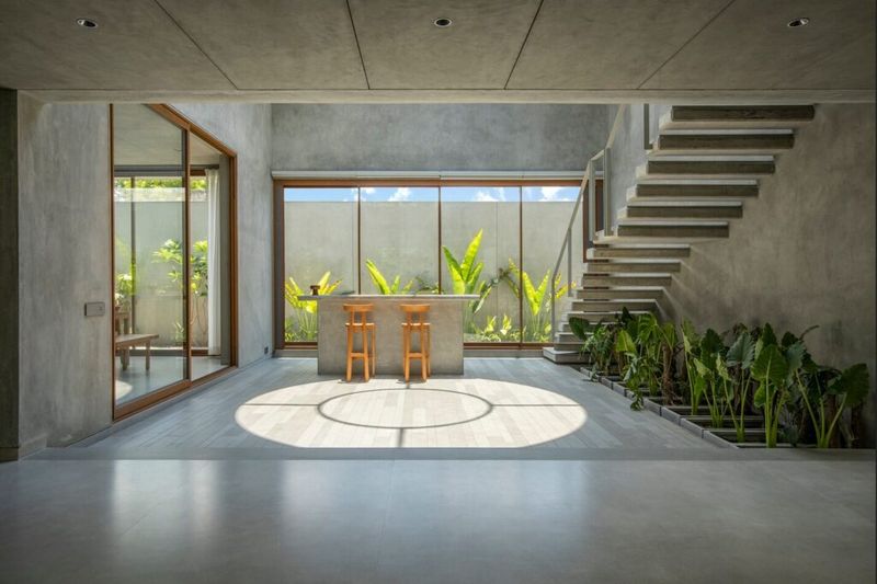 Concrete Jungle Oasis