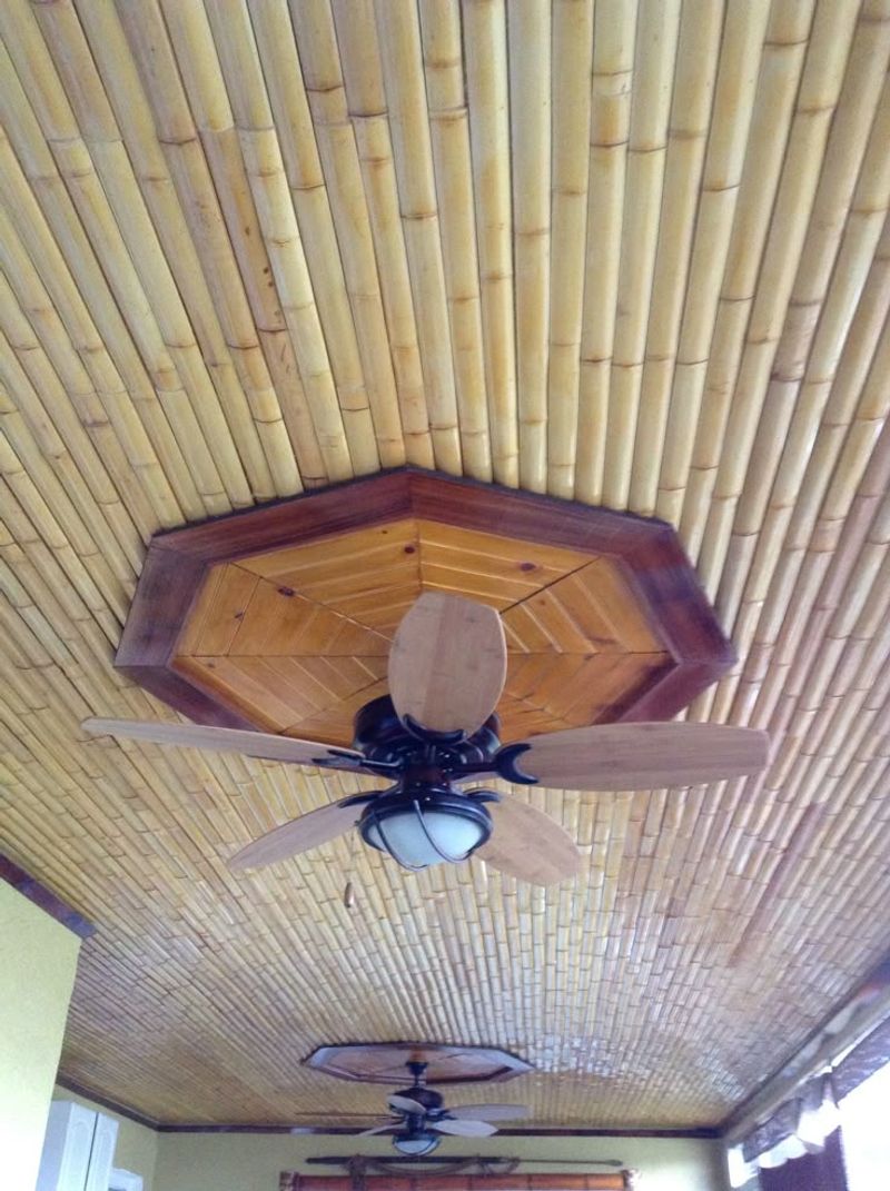 Bamboo Mat Covering