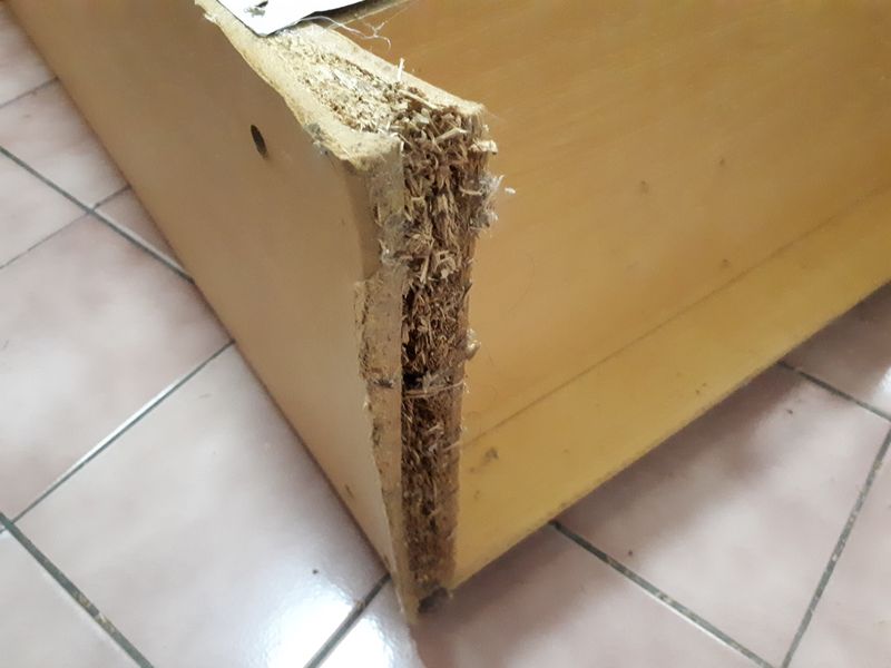 Particle Board Anything