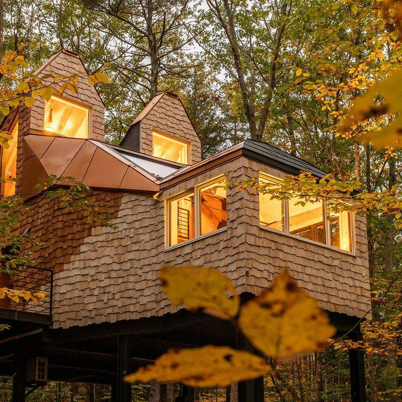 The Fox House: Treehouse Dreams