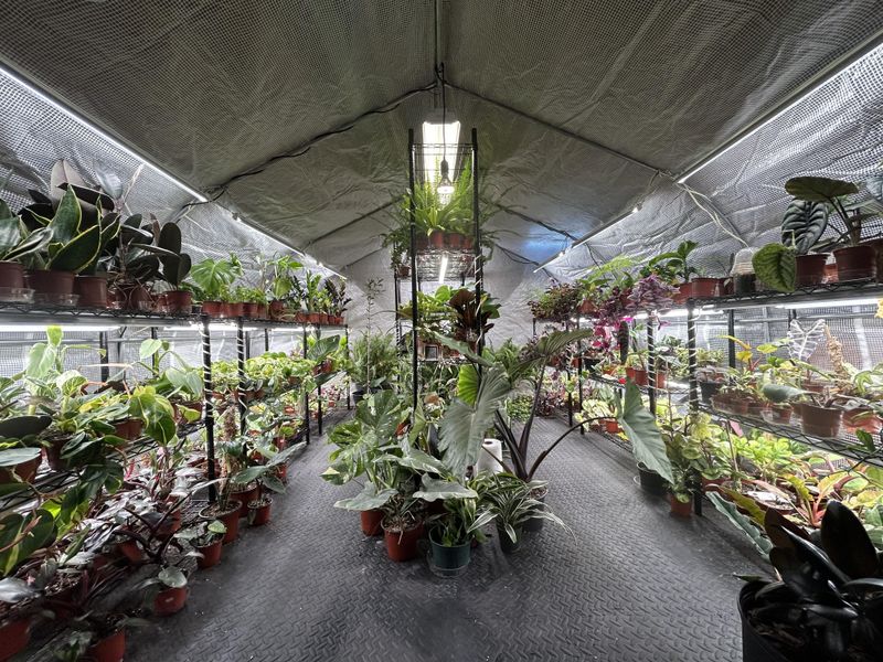 Indoor Garden Oasis