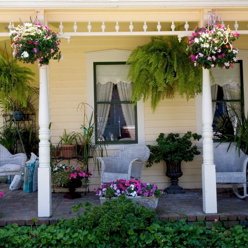 Plant Paradise Potential