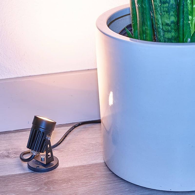 Plant Spotlighting Magic