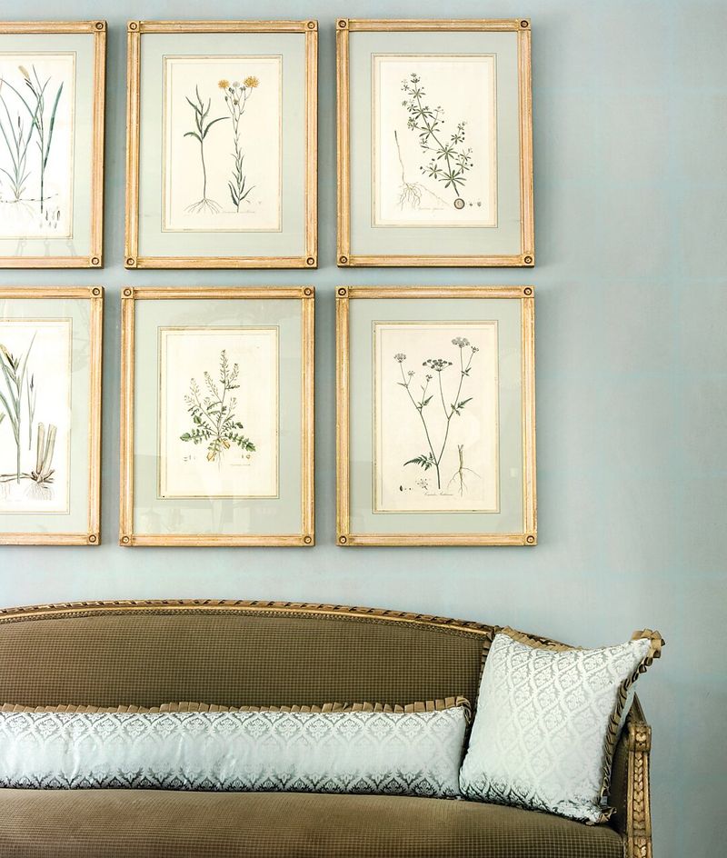 Vintage Botanical Prints