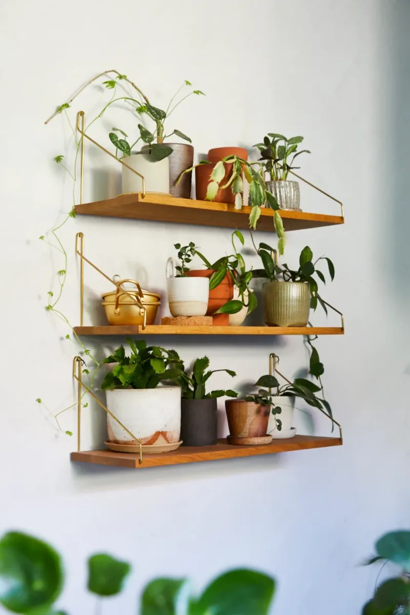 Add Floating Shelves With Plants
