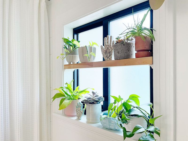 Windowsill Garden Shelf