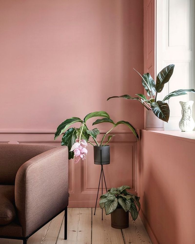 Dusty Rose