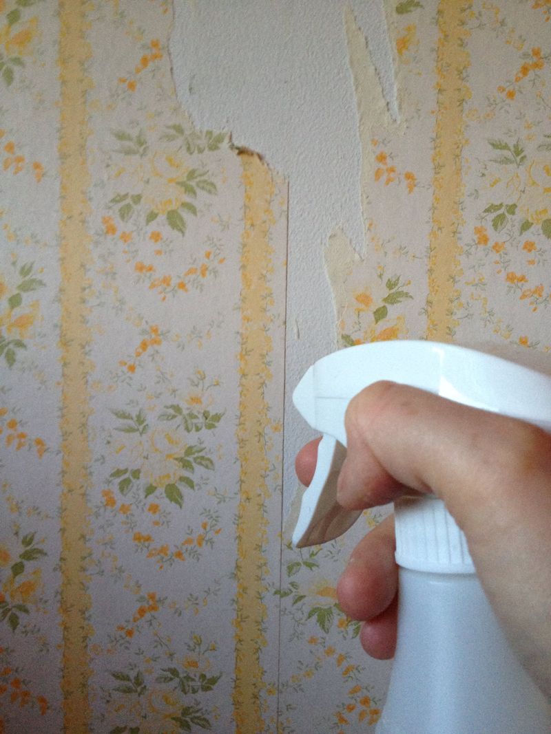 Wallpaper Borders