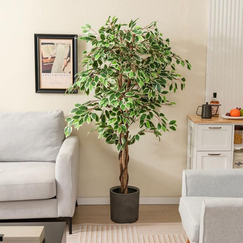 Fake Plants Collecting Real Dust