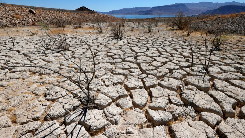 Houses in Areas with Water Restrictions