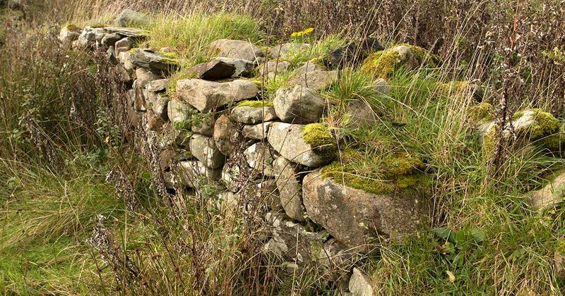 Build Dry Stone Walls