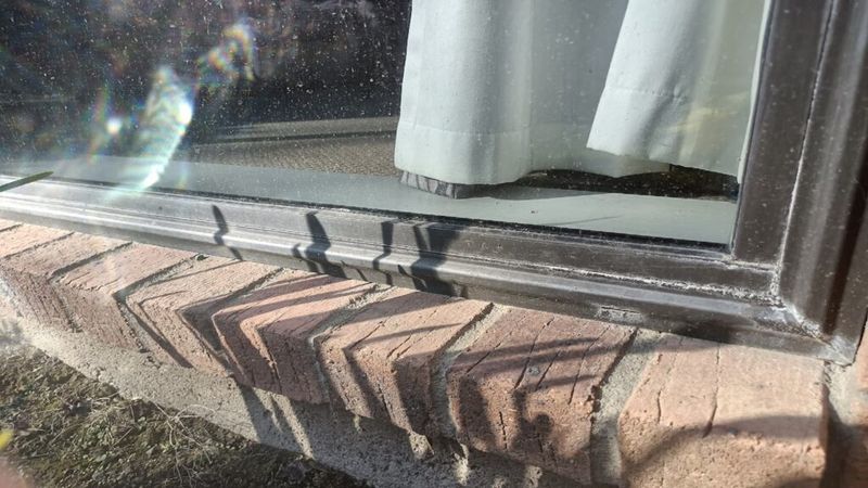 Light Exposure Damage