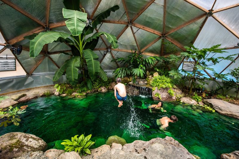 Greenhouse Inspired Sanctuary