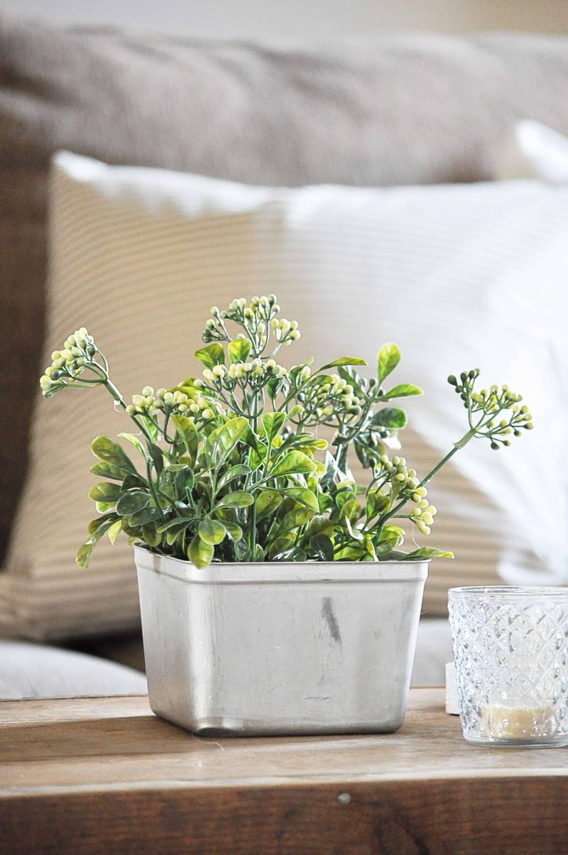 Plastic Plants Collecting Dust
