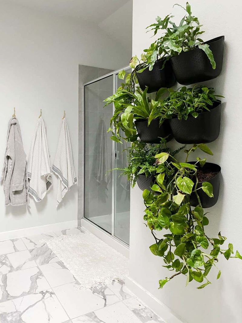 Create A Plant Wall