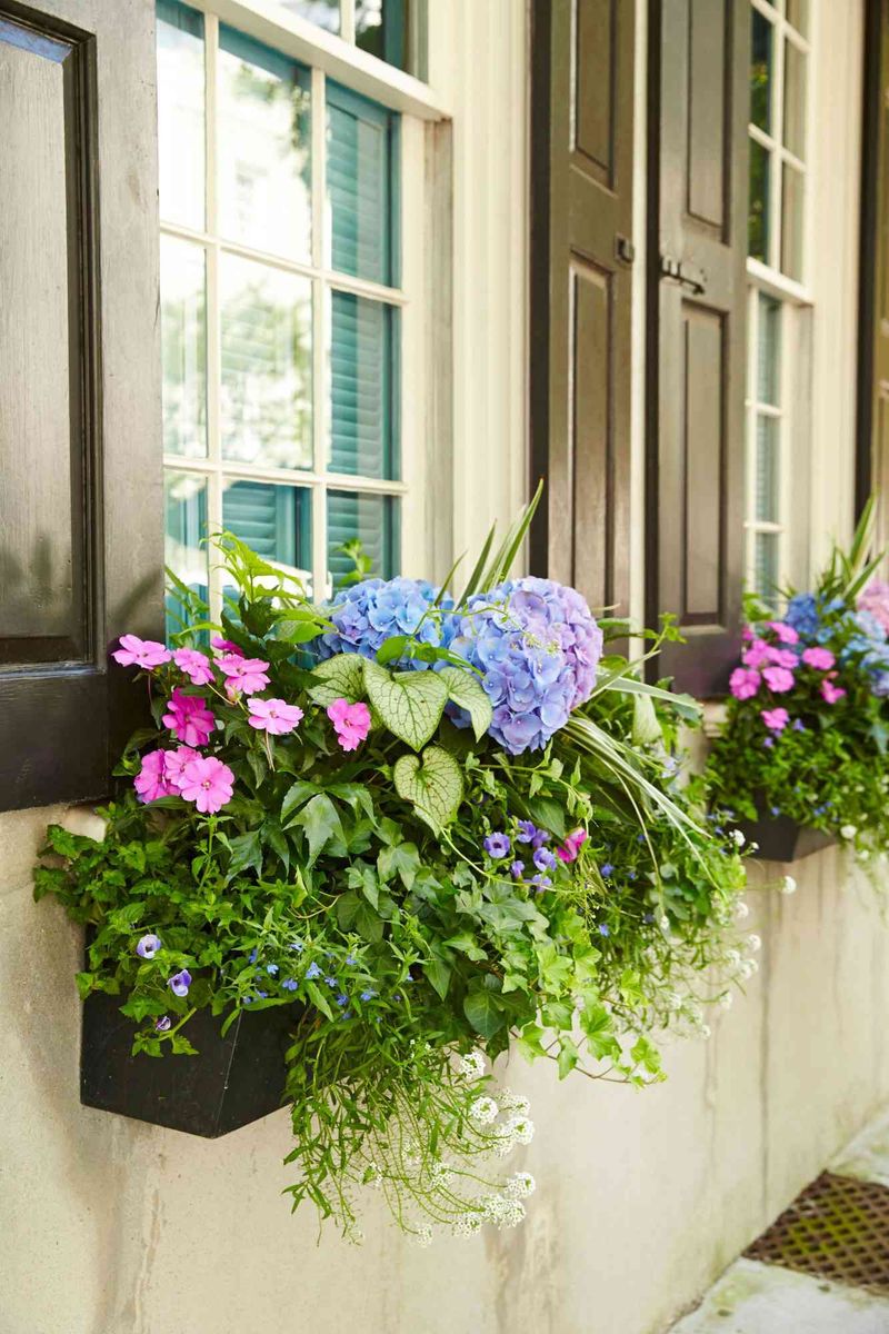 Create a Cottage Garden Window Box