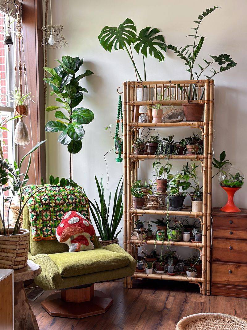 Design a Mini Indoor Garden
