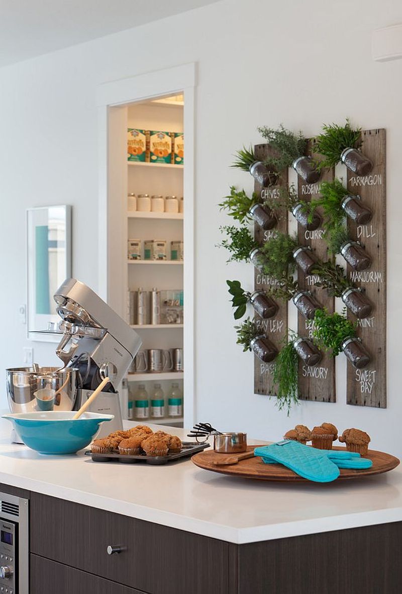 Indoor Herb Gardens