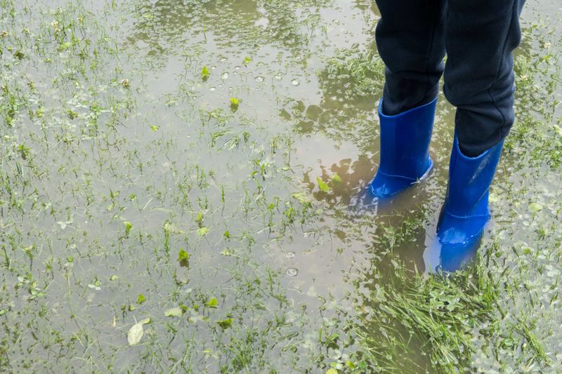 Poor Drainage Issues