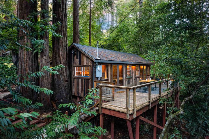 Californian Redwood Treehouse