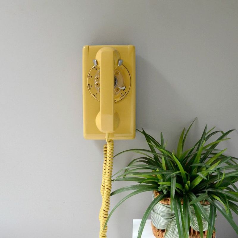 Rotary Dial Phone Mounted on the Wall