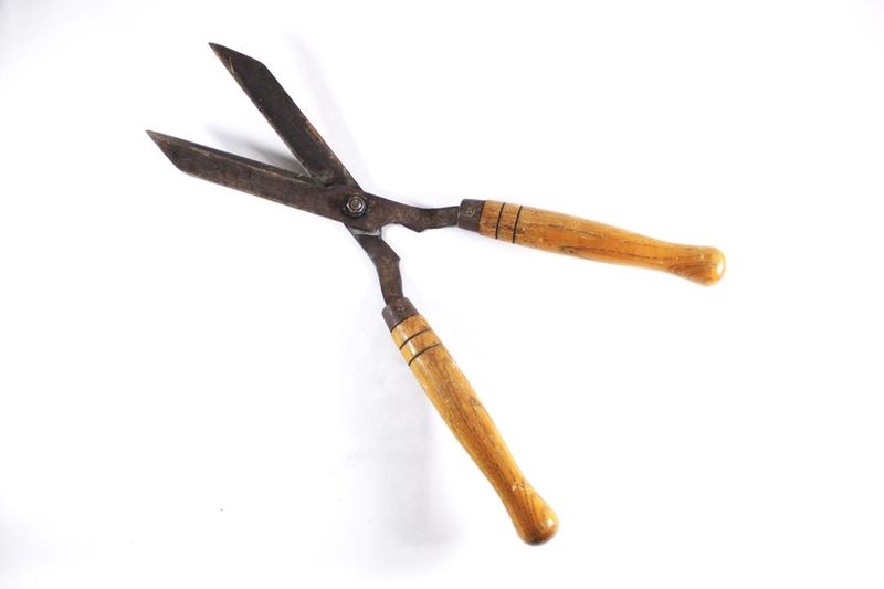 Garden Shears