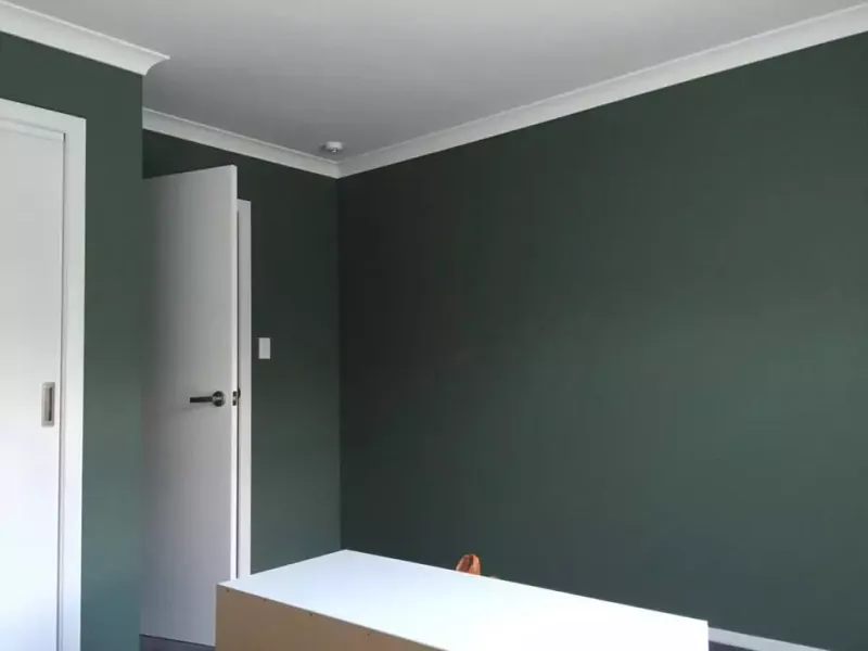 Plaster Walls