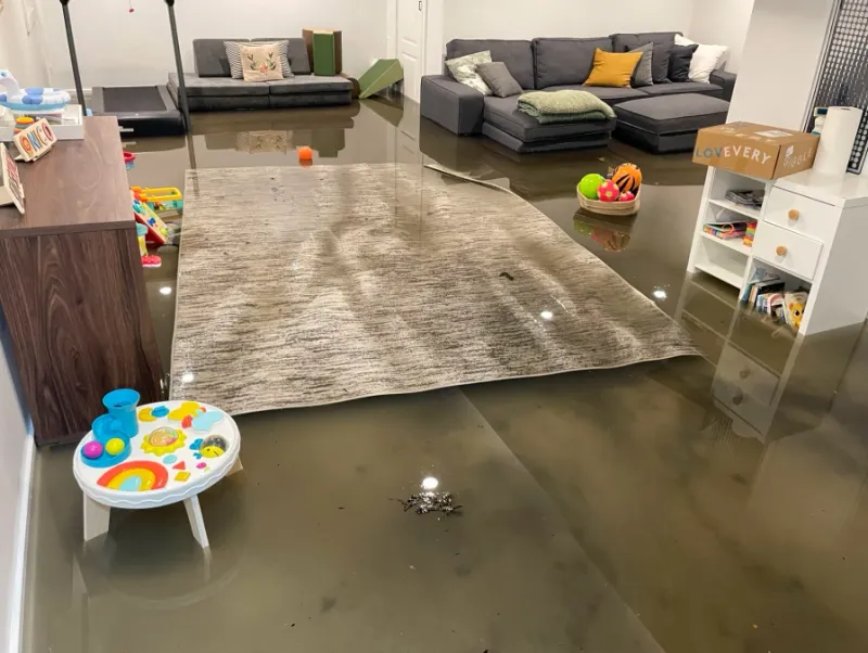 Basement Areas
