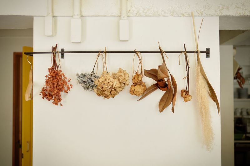 Dried Flower Arrangements for Year-Round Beauty