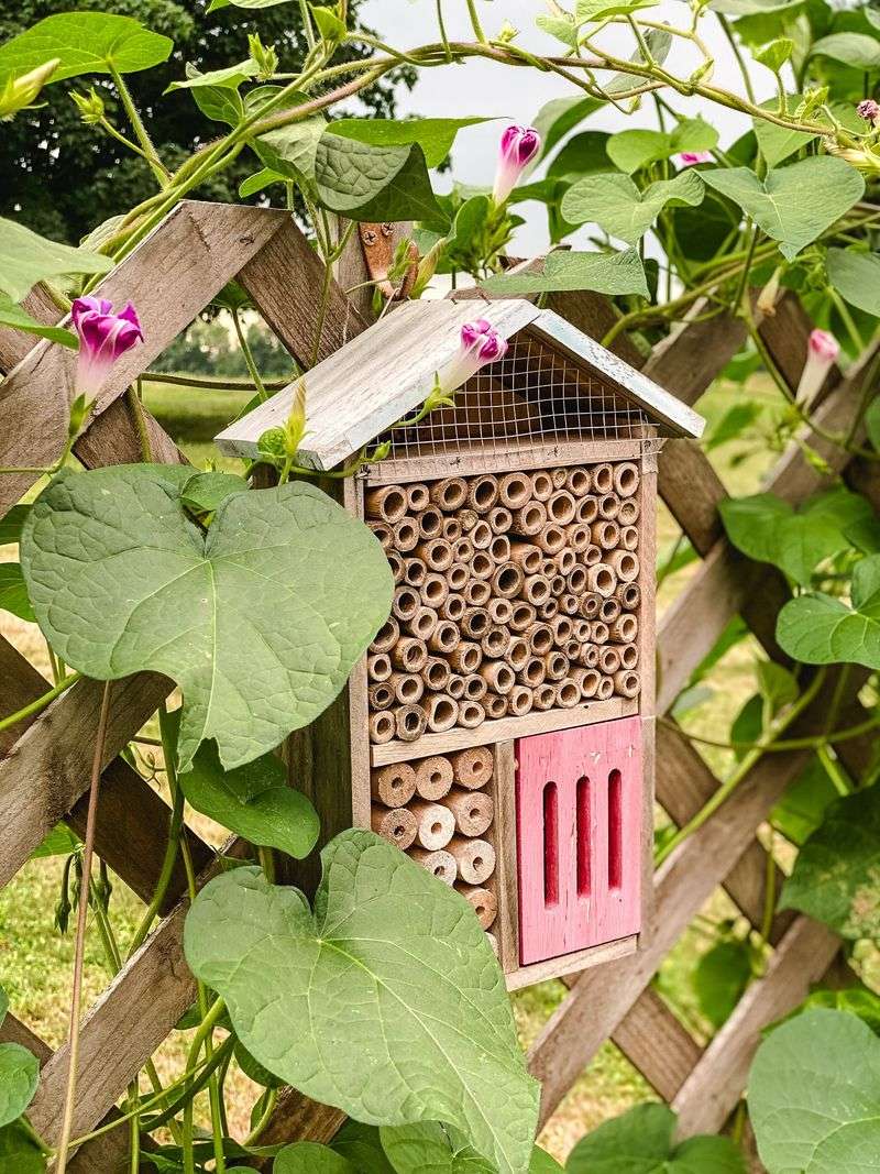 Butterfly Pit Stop Garden